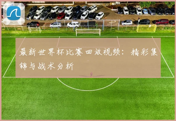 最新世界杯比赛回放视频：精彩集锦与战术分析