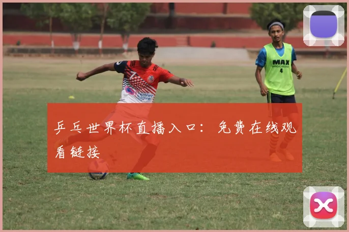 乒乓世界杯直播入口:免费在线观看链接